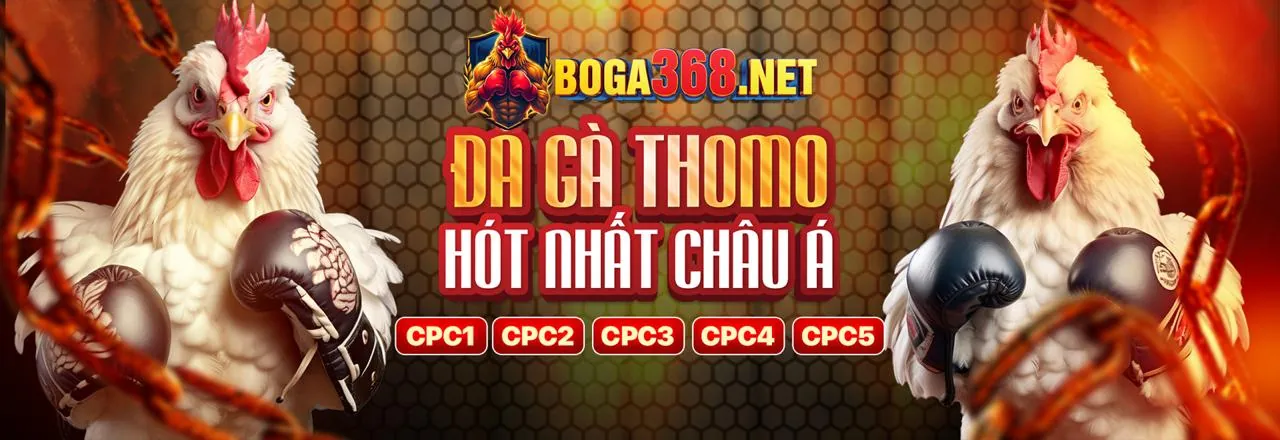 Các hoạt động và phúc lợi mới nhất từ MB5 chính thức