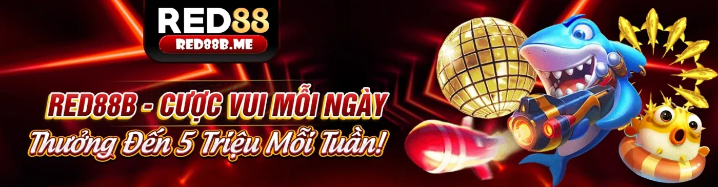 Đội ngũ hỗ trợ khách hàng MB5 chính thức luôn sẵn sàng phục vụ bạn